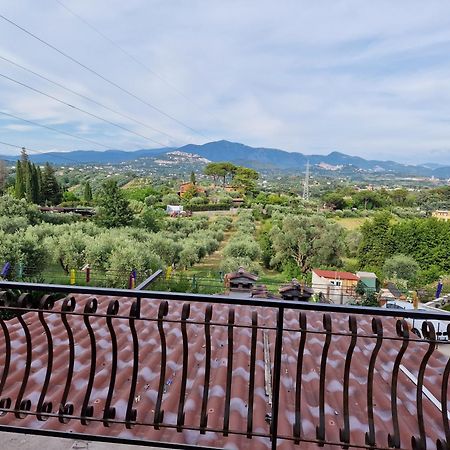 La Casa Tra Gli Ulivi Di Fonte Nuova 2 Βίλα Mentana Εξωτερικό φωτογραφία