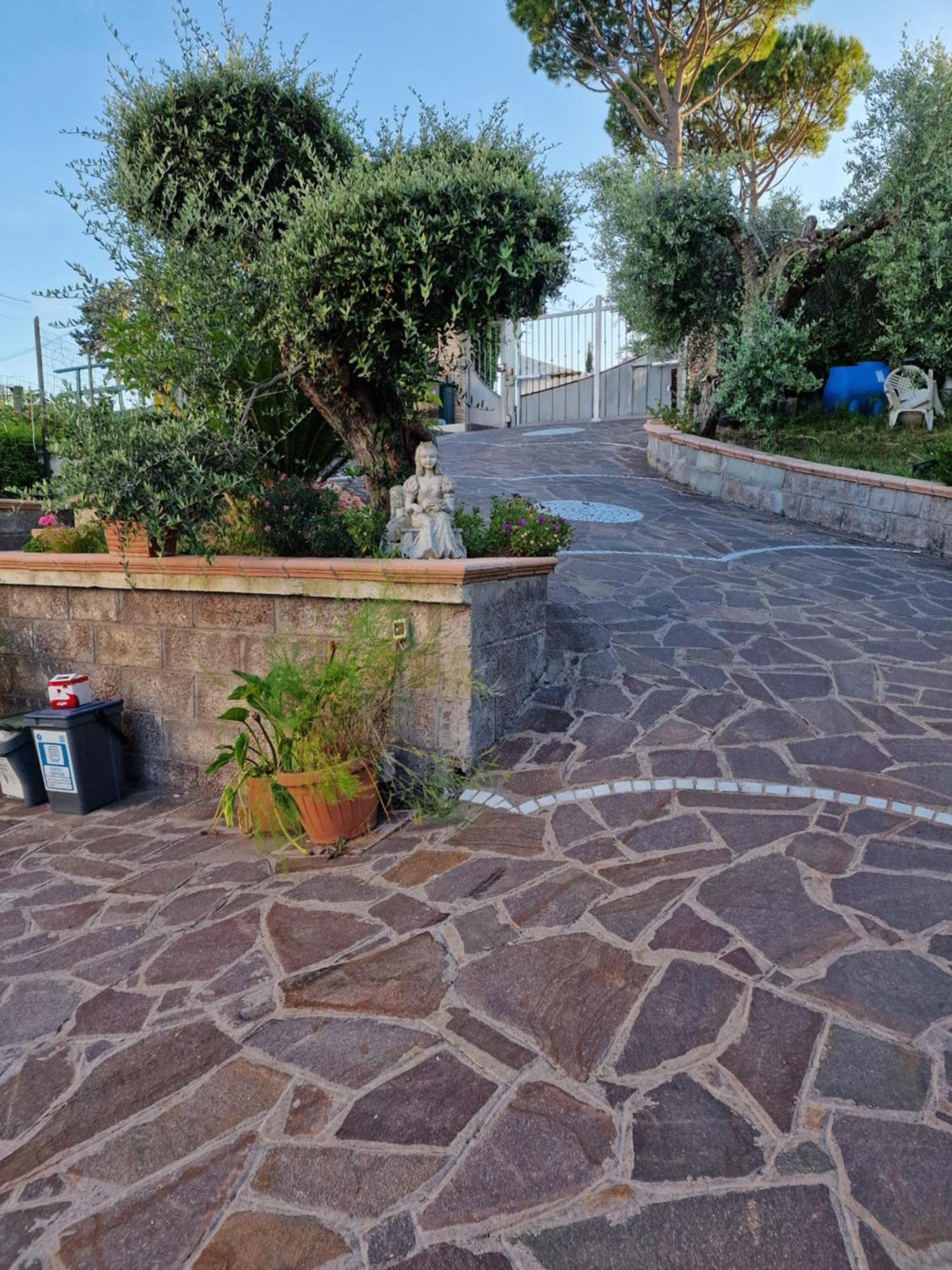 La Casa Tra Gli Ulivi Di Fonte Nuova 2 Βίλα Mentana Εξωτερικό φωτογραφία
